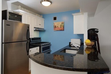 Parris Landing unit 3402, Charlestown, MA 02129 - photo 5