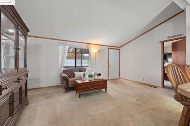 Living area with light colored carpet, ornamental molding, lofted ceiling, and a textured ceiling