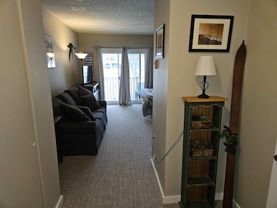 36 Lodge Rd unit D115, Lincoln, NH 03251 - photo 2