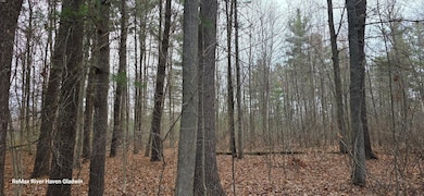 2.17 Acres N Branch Dr unit Woodview Pass VL, Beaverton, MI 48612 - photo 6