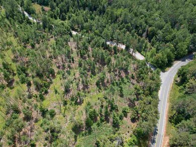 0 L 522 South Shore Rd unit Lot 2 202010760, Hadley, NY 12835 - photo 3