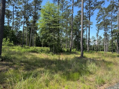 055 Private Road 6028, Brookeland, TX 75931 - photo 7