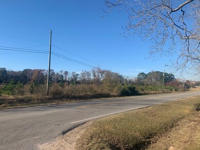 238 Rhine Rd, Fitzgerald, GA 31750 - photo 5