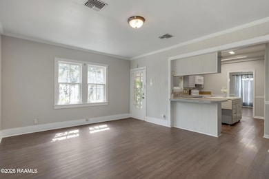 311 S Morgan Ave, Broussard, LA 70518 - photo 6