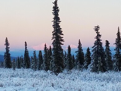 20191109_160652 Winter Mountain Vuew