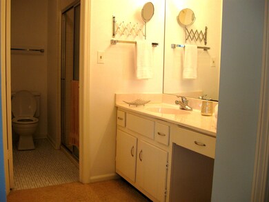 2109 Ammer Ridge Ct unit 202, Glenview, IL 60025 - photo 4