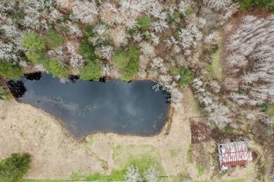 3721 Fm 1669, Huntington, TX 75949 - photo 7