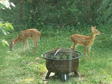 53480 Ash Rd, Granger, IN 46530 - photo 4