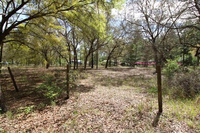 5360 County Road 208, Saint Augustine, FL 32092 - photo 5