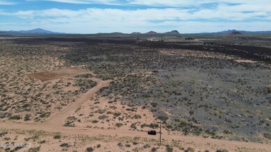 DJI_0069