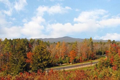 13 Farm Pond Ln unit Lot 13, Tuftonboro, NH 03816 - photo 7