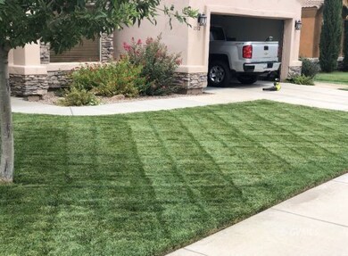 Front yard