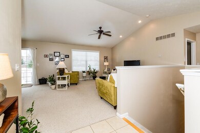 RN5_6198