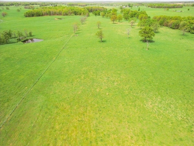 07-DJI_0036