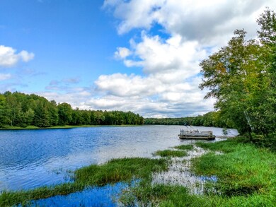 W8610 Silver Birch Rd, Tomahawk, WI 54487 - photo 2