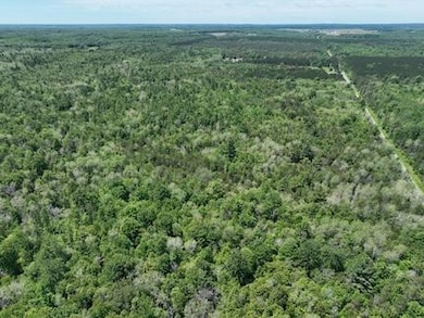 000 V/L 13 Mile Rd unit Par D, Bitely, MI 49309 - photo 6