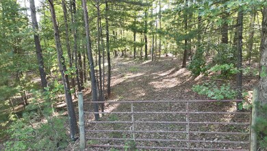 113 Foley Rd, Stuart, VA 24171 - photo 4