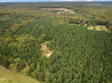 Lot 2 Wolf Tree Way, Efland, NC 27243 - photo 4