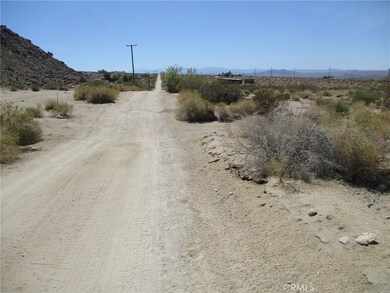 6888 Peterson Rd, Twentynine Palms, CA 92277 - photo 6