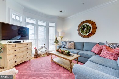 1513 Portner Rd, Alexandria, VA 22314 - photo 3