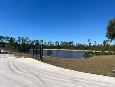 27730 Bonita Grande Dr, Bonita Springs, FL 34135 - photo 4