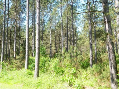 0 Old 35 unit 1508959, Siren, WI 54872 - photo 4