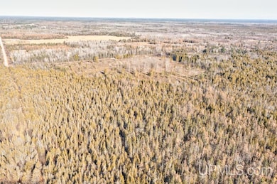 9311 County 509 Y Rd, Ensign Township, MI 49878 - photo 2