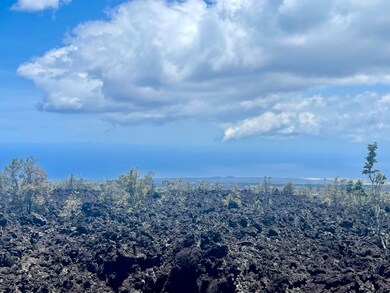 12 Lehua Ln, Ocean View, HI 96704 - photo 4