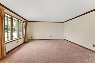 Carpeted spare room with crown molding and a textu