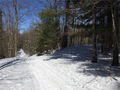 0 Mud Lake Rd unit 1516397, New Auburn, WI 54757 - photo 4