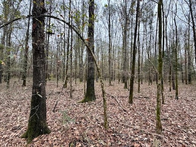 10 Acres Reed Rd, Starkville, MS 39759 - photo 5