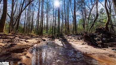 0 State Road S-39-122, Pickens, SC 29671 - photo 6