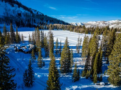 20220110-DJI_0210
