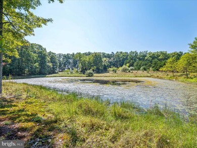 584 Pine Grove Rd, Berkeley Springs, WV 25411 - photo 3