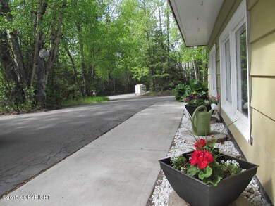 Driveway & flowers