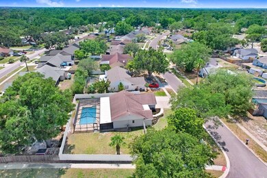 Ariel View