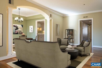 253 E Jefferson St unit 27, Charlottesville, VA 22902 - photo 4