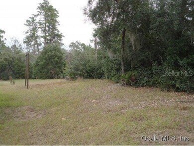2775 SW 161st Loop, Ocala, FL 34473 - photo 3