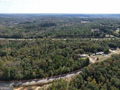 412 Georgia 137, Cusseta, GA 31805 - photo 4