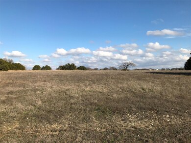 1733 W Horseshoe Dr, Whitney, TX 76692 - photo 4