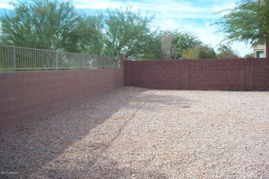 back yard