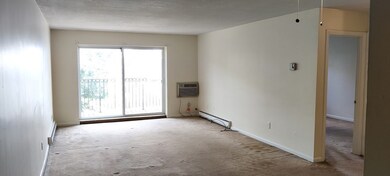 29 Custer St unit 204, Jamaica Plain, MA 02130 - photo 4