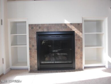 Fireplace & Built-in Shelves