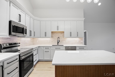 8810 W Stephenson Hwy, Onsted, MI 49265 - photo 6