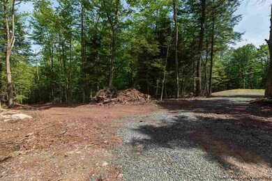 0 Legg Rd unit 20221826, Haines Falls, NY 12436 - photo 6