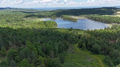TBD Stevens Rd, Barton, VT 05875 - photo 5