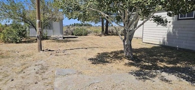 88052 Cedar St, Christmas Valley, OR 97641 - photo 5