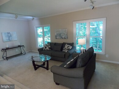 4631 Briar Patch Ct, Fairfax, VA 22032 - photo 7