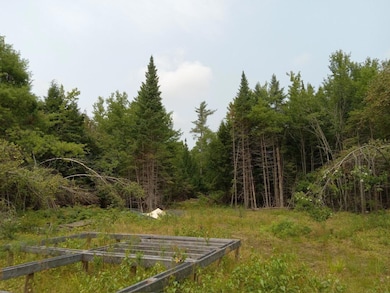 image000000(9)