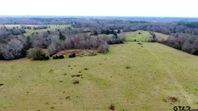 14151 Fm 848, Whitehouse, TX 75791 - photo 2